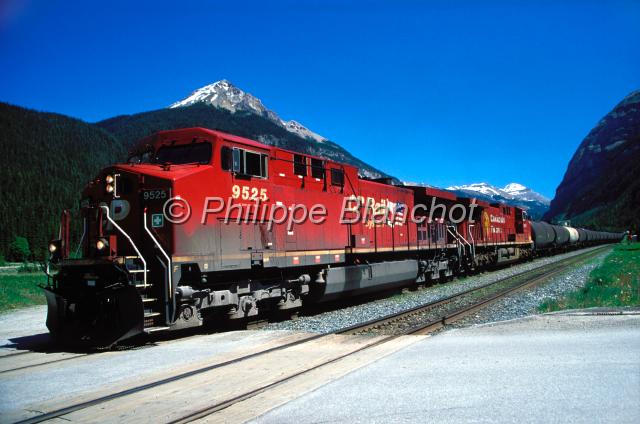 canada alberta 28.JPG - Train de marchandisesRocheuses canadiennesAlbertaCanada